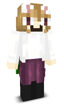 User's Minecraft appearance
