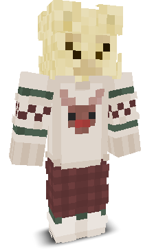 User's Minecraft appearance