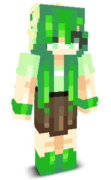 User's Minecraft appearance