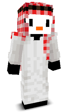 User's Minecraft appearance