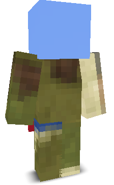 User's Minecraft appearance