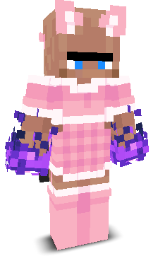 User's Minecraft appearance