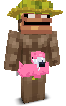 User's Minecraft appearance
