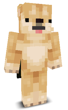 User's Minecraft appearance