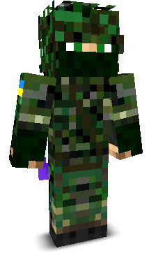 User's Minecraft appearance
