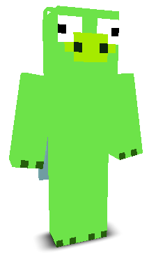 User's Minecraft appearance
