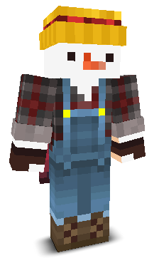 User's Minecraft appearance