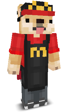 User's Minecraft appearance