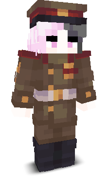 User's Minecraft appearance