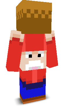 User's Minecraft appearance