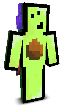 User's Minecraft appearance