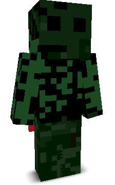 User's Minecraft appearance