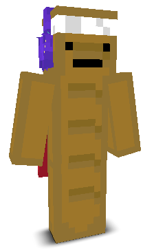 User's Minecraft appearance