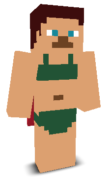 User's Minecraft appearance