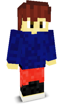 User's Minecraft appearance