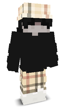 User's Minecraft appearance