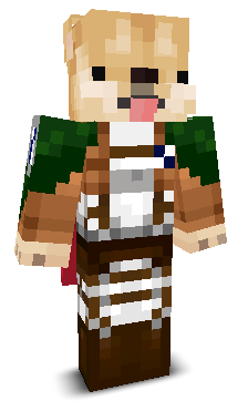 User's Minecraft appearance