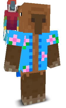 User's Minecraft appearance