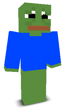 User's Minecraft appearance