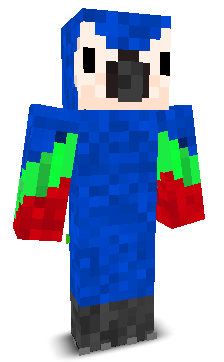 User's Minecraft appearance