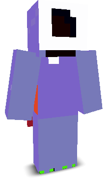 User's Minecraft appearance