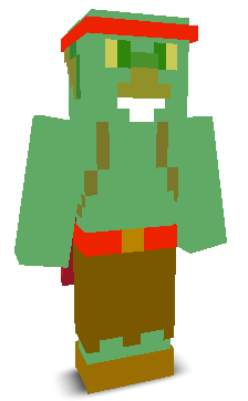 User's Minecraft appearance