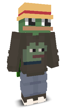 User's Minecraft appearance