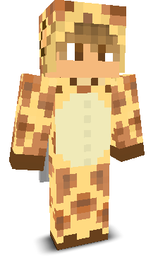 User's Minecraft appearance