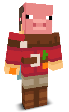 User's Minecraft appearance
