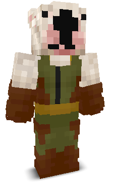 User's Minecraft appearance