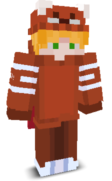 User's Minecraft appearance
