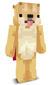 User's Minecraft appearance