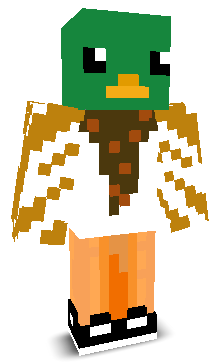 User's Minecraft appearance