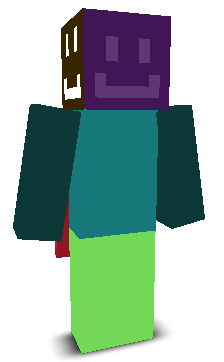 User's Minecraft appearance