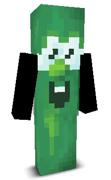 User's Minecraft appearance