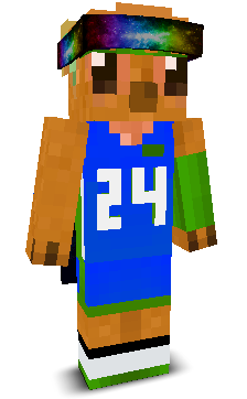 User's Minecraft appearance