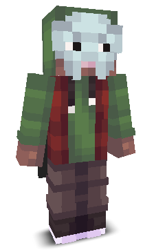 User's Minecraft appearance