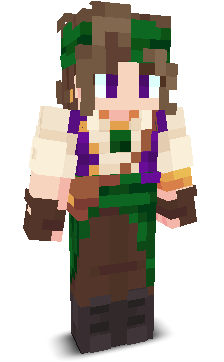 User's Minecraft appearance