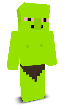User's Minecraft appearance