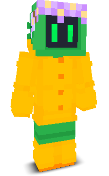 User's Minecraft appearance