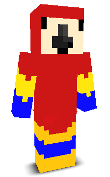 User's Minecraft appearance