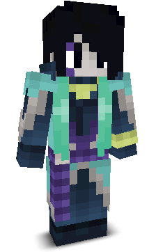 User's Minecraft appearance