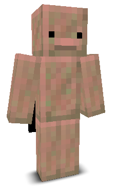 User's Minecraft appearance