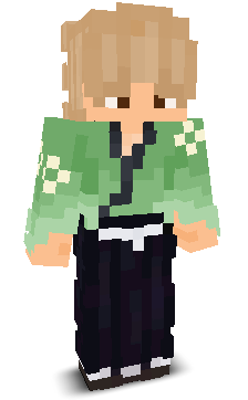 User's Minecraft appearance