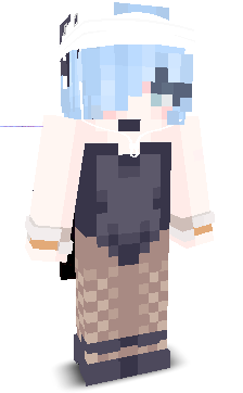 User's Minecraft appearance
