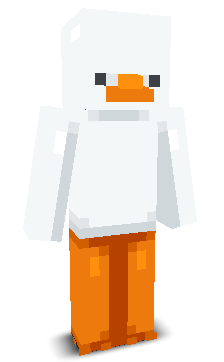 User's Minecraft appearance