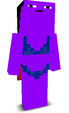 User's Minecraft appearance