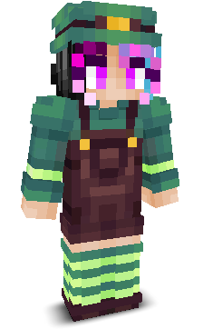 User's Minecraft appearance