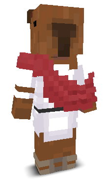 User's Minecraft appearance