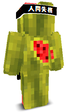 User's Minecraft appearance
